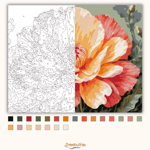 Aranyló bazsarózsa - számfestő készlet - Számfestő.hu - 50×60cm - Keretre feszítve