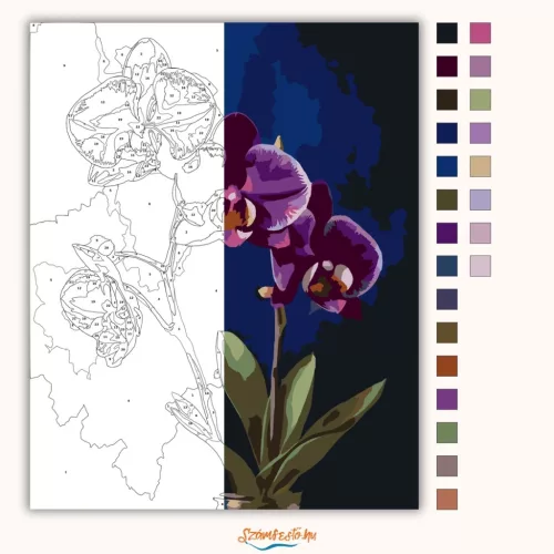 Éjféli orchideák - számfestő készlet - Számfestő.hu - 40×50cm - Keret nélkül