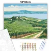 Balatoni szőlősorok - számfestő készlet - Számfestő.hu - 50×60cm - Keretre feszítve