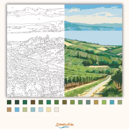 Balatoni szőlősorok - számfestő készlet - Számfestő.hu - 50×60cm - Keretre feszítve