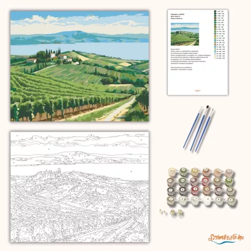 Balatoni szőlősorok - számfestő készlet - Számfestő.hu - 60×70cm - Keret nélkül