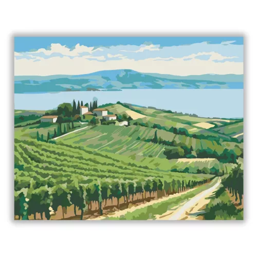 Balatoni szőlősorok - számfestő készlet - Számfestő.hu - 60×70cm - Keretre feszítve