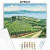 Balatoni szőlősorok - számfestő készlet - Számfestő.hu - 40×50cm - Keret nélkül