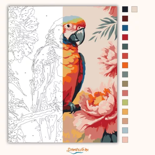 Trópusi papagáj - számfestő készlet - Számfestő.hu - 50×60cm - Keret nélkül