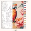 Trópusi papagáj - számfestő készlet - Számfestő.hu - 60×70cm - Keretre feszítve