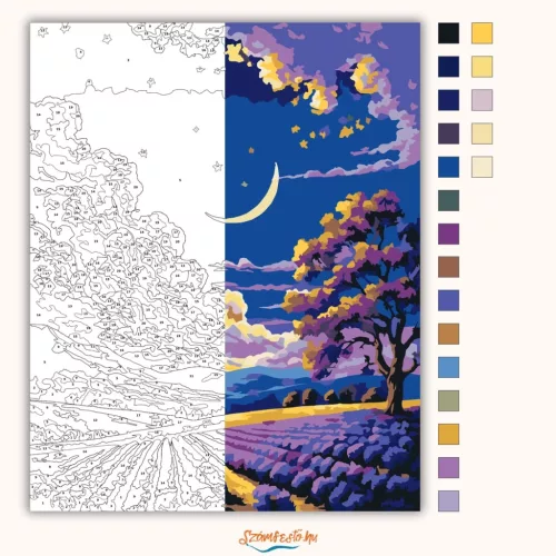 Csillagos levendulaföld - számfestő készlet - Számfestő.hu - 60×70cm - Keret nélkül