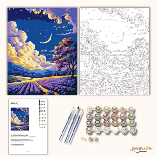 Csillagos levendulaföld - számfestő készlet - Számfestő.hu - 80×100cm - Keretre feszítve