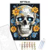 Csillagszemű koponya - számfestő készlet - Számfestő.hu - 60×70cm - Keretre feszítve