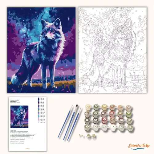 Misztikus farkas tekintete - számfestő készlet - Számfestő.hu - 50×60cm - Keretre feszítve