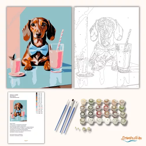 Csokornyakkendős tacskó - számfestő készlet - Számfestő.hu - 50×60cm - Keretre feszítve