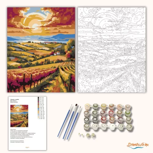 Balatoni dombvidék - számfestő készlet - Számfestő.hu - 60×70cm - Keretre feszítve