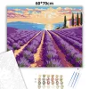 Levendulasorok ösvénye - számfestő készlet - Számfestő.hu - 60×70cm - Keret nélkül