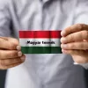 Napraforgós frizura - számfestő készlet - Számfestő.hu - 40×50cm - Keret nélkül