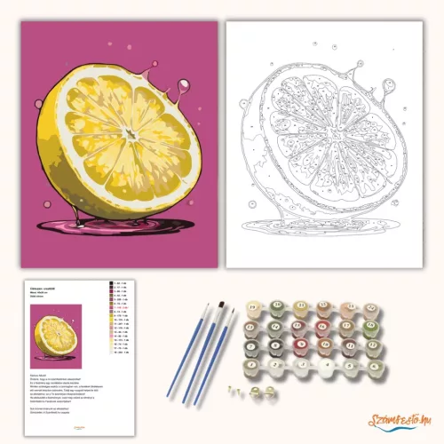 Üdítő citrom - számfestő készlet - Számfestő.hu - 50×60cm - Keretre feszítve