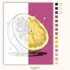 Üdítő citrom - számfestő készlet - Számfestő.hu - 60×70cm - Keretre feszítve