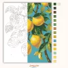 Mediterrán citromág - számfestő készlet - Számfestő.hu - 50×60cm - Keret nélkül