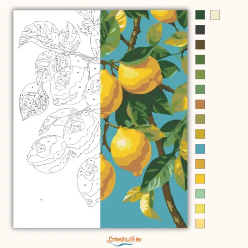 Mediterrán citromág - számfestő készlet - Számfestő.hu - 80×100cm - Keretre feszítve