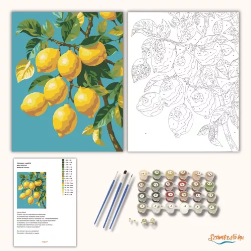 Mediterrán citromág - számfestő készlet - Számfestő.hu - 40×50cm - Keret nélkül