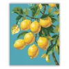 Mediterrán citromág - számfestő készlet - Számfestő.hu - 40×50cm - Keret nélkül