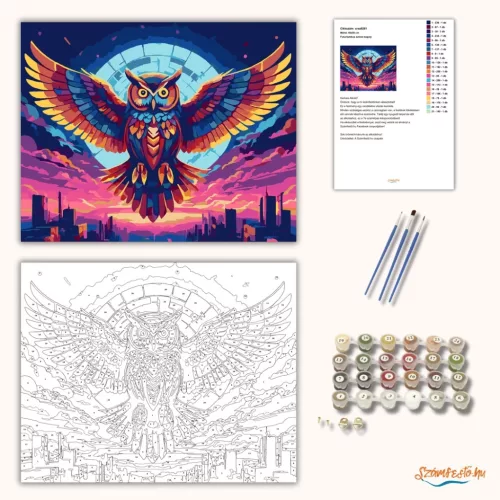 Futurisztikus színes bagoly - számfestő készlet - Számfestő.hu - 80×100cm - Keret nélkül