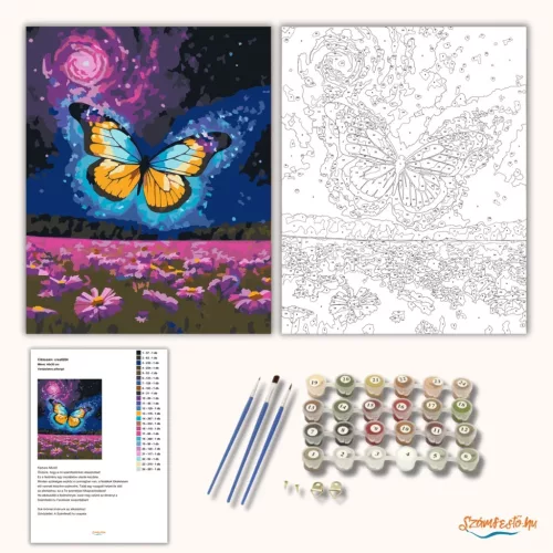 Varázslatos pillangó - számfestő készlet - Számfestő.hu - 60×70cm - Keret nélkül