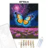 Varázslatos pillangó - számfestő készlet - Számfestő.hu - 40×50cm - Keret nélkül