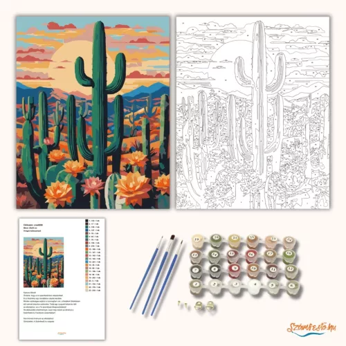 Virágzó kaktuszmező - számfestő készlet - Számfestő.hu - 40×50cm - Keret nélkül
