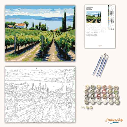 Balatoni szőlőhegy - számfestő készlet - Számfestő.hu - 50×60cm - Keret nélkül