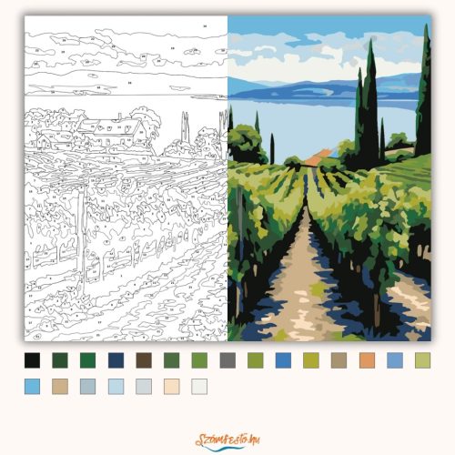 Balatoni szőlőhegy - számfestő készlet - Számfestő.hu - 50×60cm - Keret nélkül