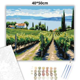 Balatoni szőlőhegy - számfestő készlet - Számfestő.hu - 40×50cm - Keret nélkül