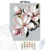 Tavaszi magnólia virág - számfestő készlet - Számfestő.hu - 40×50cm - Keret nélkül