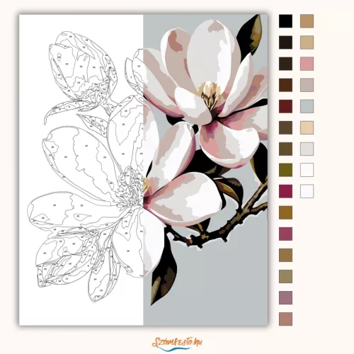 Tavaszi magnólia virág - számfestő készlet - Számfestő.hu - 40×50cm - Keret nélkül