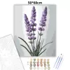 Letisztult levendulák - számfestő készlet - Számfestő.hu - 50×60cm - Keret nélkül