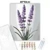 Letisztult levendulák - számfestő készlet - Számfestő.hu - 40×50cm - Keretre feszítve