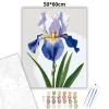 Derűs írisz virág - számfestő készlet - Számfestő.hu - 50×60cm - Keretre feszítve