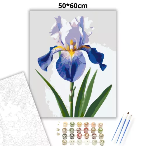Derűs írisz virág - számfestő készlet - Számfestő.hu - 50×60cm - Keretre feszítve