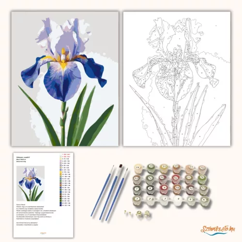 Derűs írisz virág - számfestő készlet - Számfestő.hu - 50×60cm - Keret nélkül
