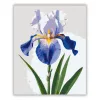 Derűs írisz virág - számfestő készlet - Számfestő.hu - 80×100cm - Keret nélkül