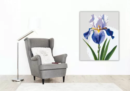 Derűs írisz virág - számfestő készlet - Számfestő.hu - 80×100cm - Keretre feszítve