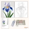 Derűs írisz virág - számfestő készlet - Számfestő.hu - 40×50cm - Keret nélkül