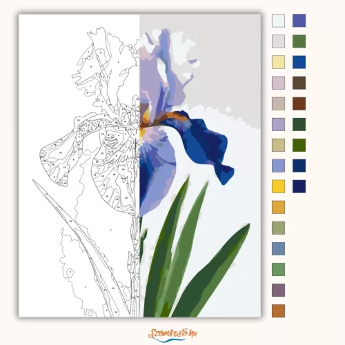 Derűs írisz virág - számfestő készlet - Számfestő.hu - 40×50cm - Keret nélkül