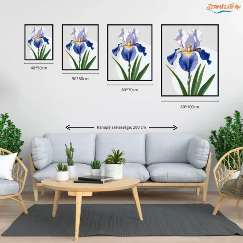 Derűs írisz virág - számfestő készlet - Számfestő.hu - 40×50cm - Keretre feszítve