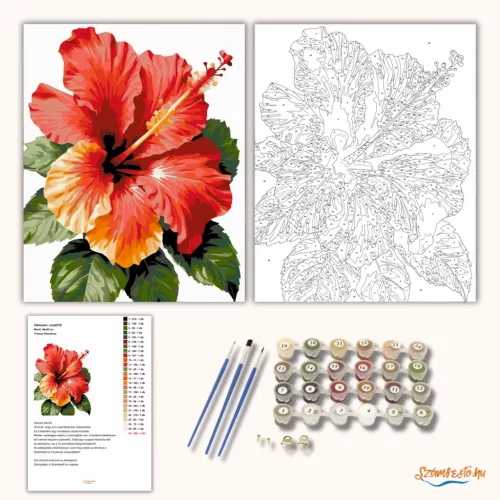 Trópusi hibiszkusz - számfestő készlet - Számfestő.hu - 60×70cm - Keretre feszítve