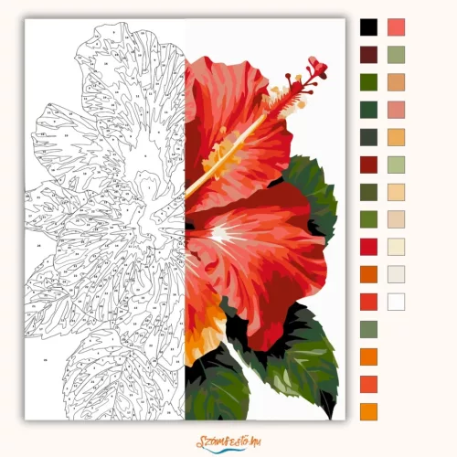 Trópusi hibiszkusz - számfestő készlet - Számfestő.hu - 60×70cm - Keretre feszítve