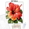 Trópusi hibiszkusz - számfestő készlet - Számfestő.hu - 80×100cm - Keret nélkül