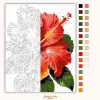 Trópusi hibiszkusz - számfestő készlet - Számfestő.hu - 40×50cm - Keretre feszítve
