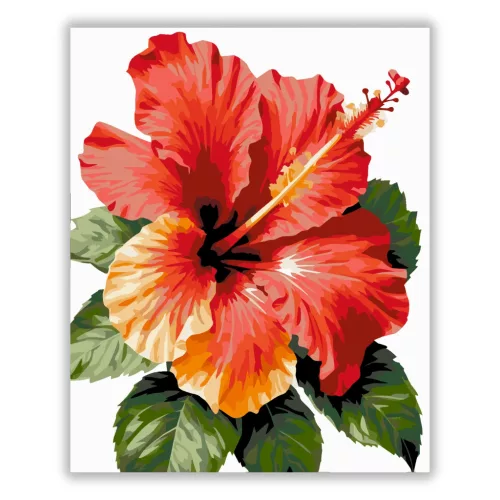 Trópusi hibiszkusz - számfestő készlet - Számfestő.hu - 40×50cm - Keretre feszítve
