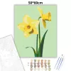 Tavaszi nárciszok - számfestő készlet - Számfestő.hu - 50×60cm - Keret nélkül