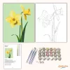 Tavaszi nárciszok - számfestő készlet - Számfestő.hu - 50×60cm - Keretre feszítve