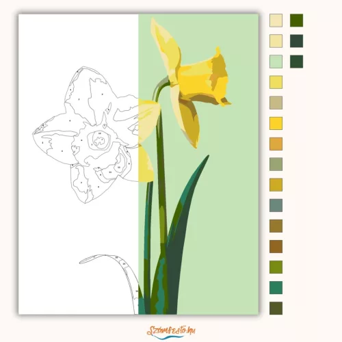 Tavaszi nárciszok - számfestő készlet - Számfestő.hu - 50×60cm - Keretre feszítve